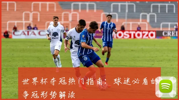 世界杯夺冠热门指南：球迷必看的争冠形势解读