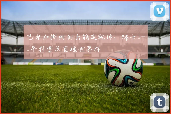 巴尔加斯利剑出鞘定乾坤,瑞士1-1平科索沃直通世界杯