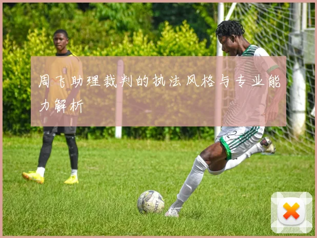 周飞助理裁判的执法风格与专业能力解析